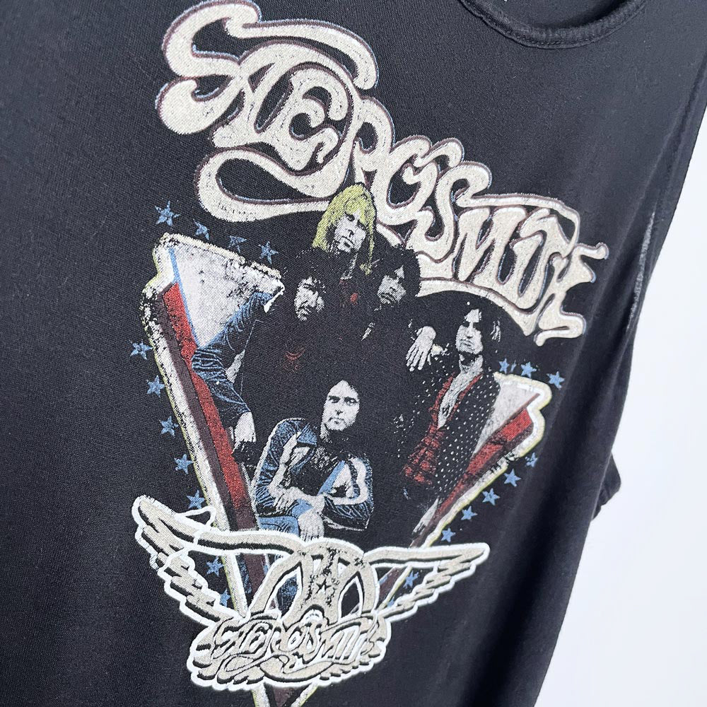 aerosmith festival fringe tank