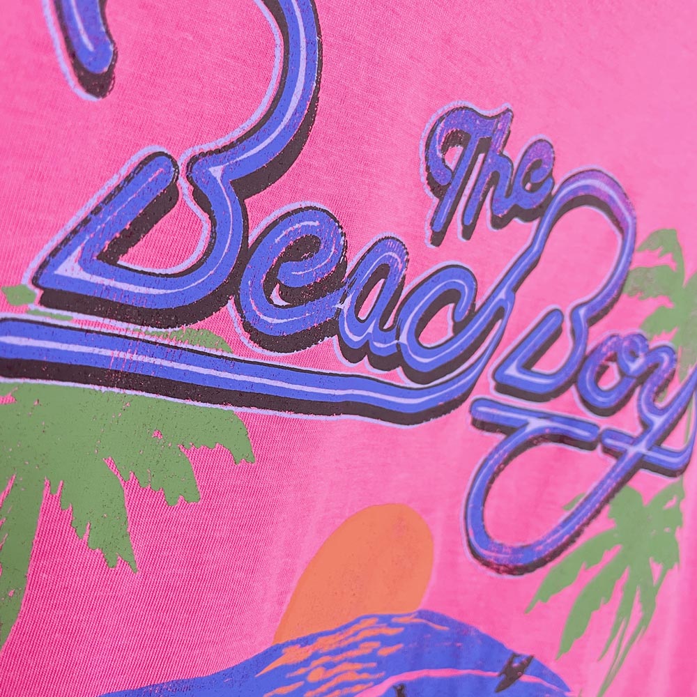 h&m x the beach boys 2023 world tour 88 reprint tee