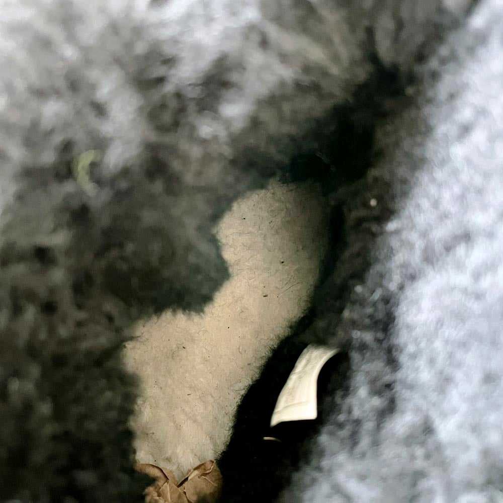 ugg 2023 bailey black zip mini