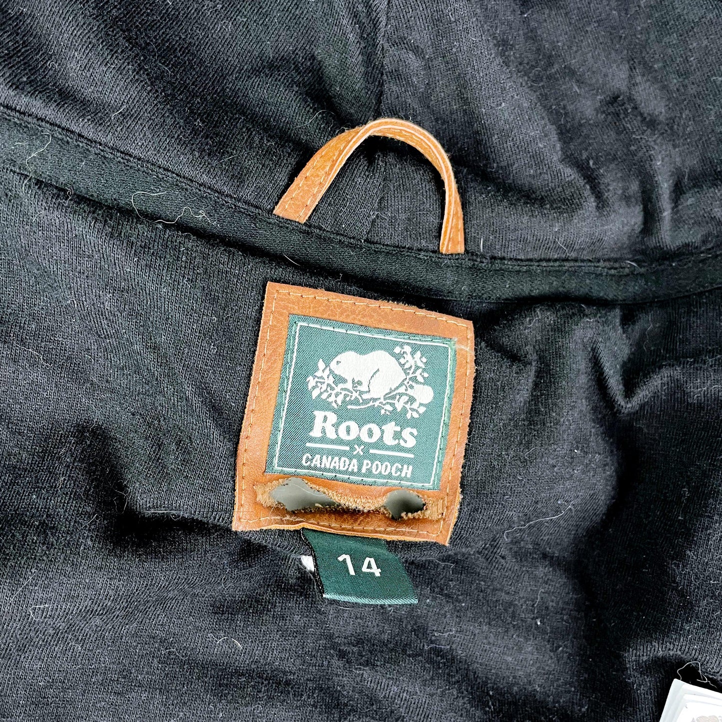 roots x canada pooch 2021 dog hoodie
