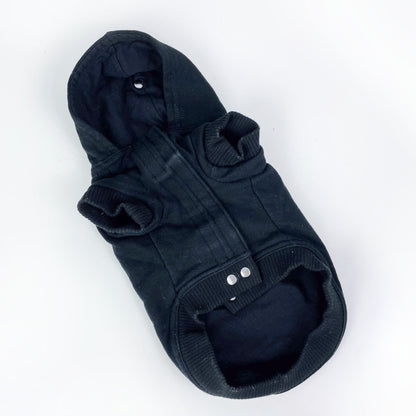 roots x canada pooch 2021 dog hoodie