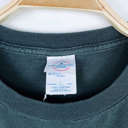 vintage 90s great big sea crop tee