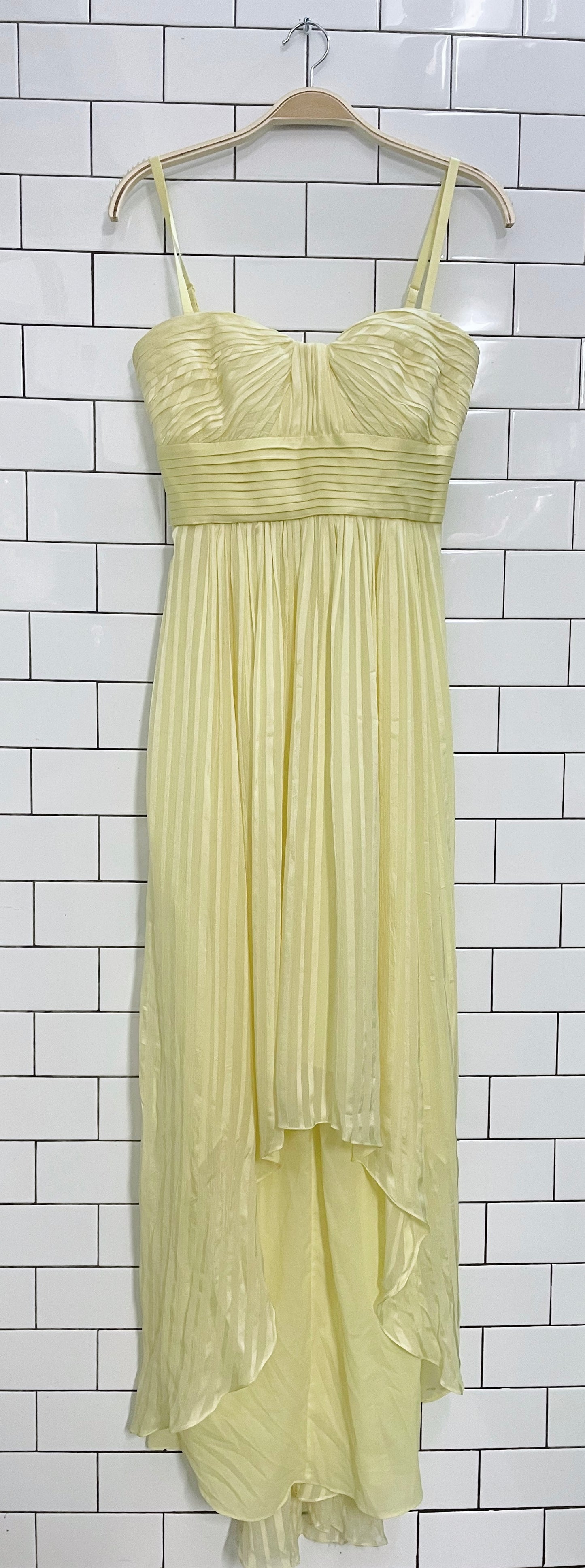 bcbg alicia silk pleated maxi dress