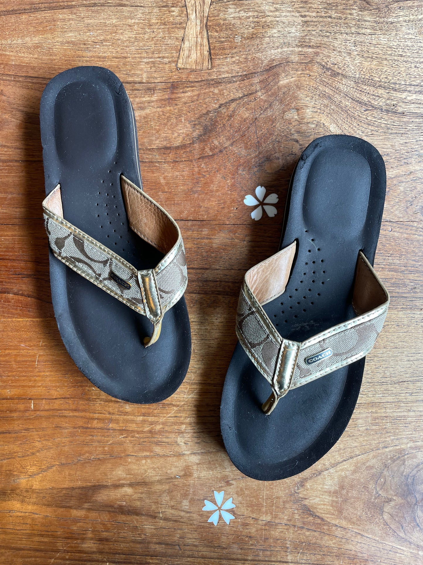 coach jaye signature canvas flip flops