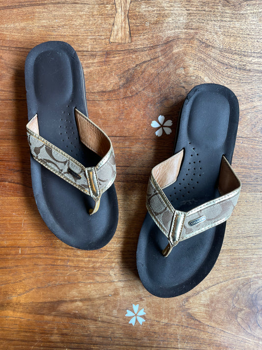 coach jaye signature canvas flip flops