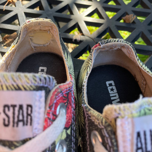 converse tropical low chuck sneakers