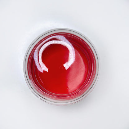 vintage festive holly stash jar with sealed lid