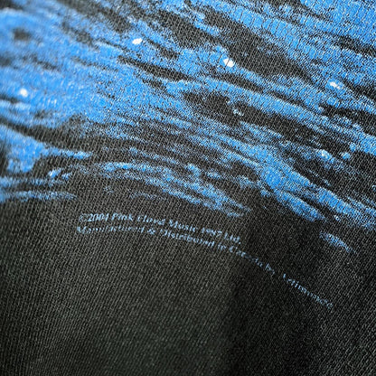 vintage 2004 pink floyd shine on you crazy diamond distressed hoodie