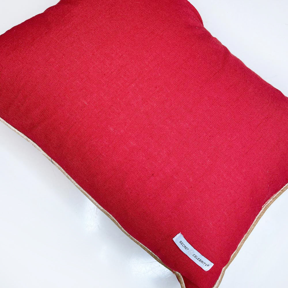 secret celebrity gold believe feather throw pillow