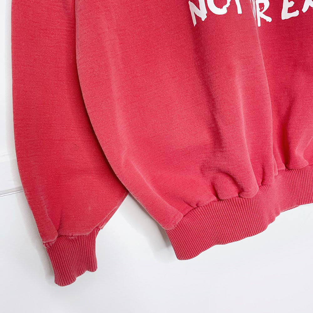 vintage 00s bulletin x earth activist faded sweatshirt