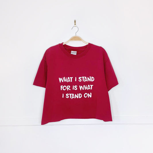 vintage 00s hanes beefy tee x earth activist crop tee