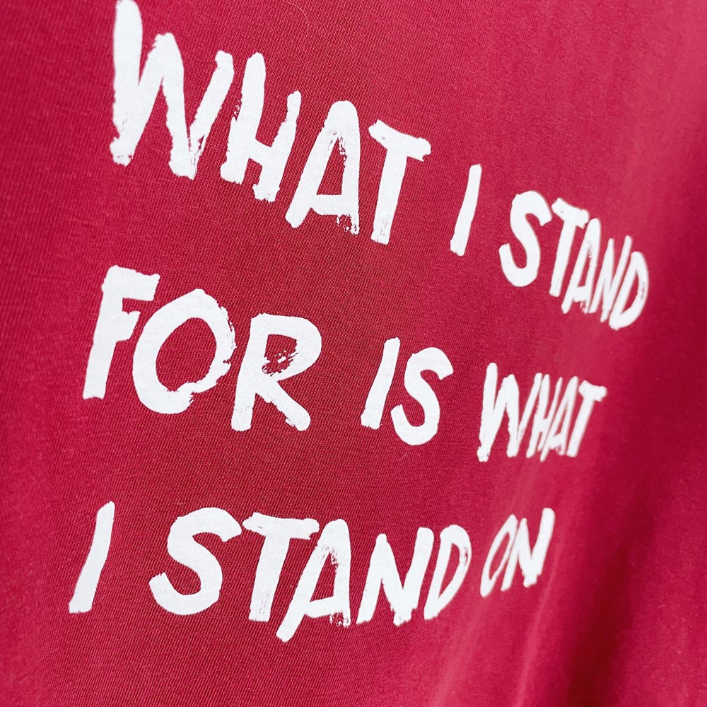 vintage 00s hanes beefy tee x earth activist crop tee