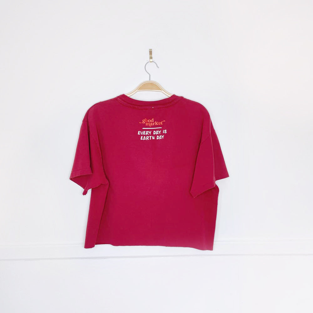 vintage 00s hanes beefy tee x earth activist crop tee