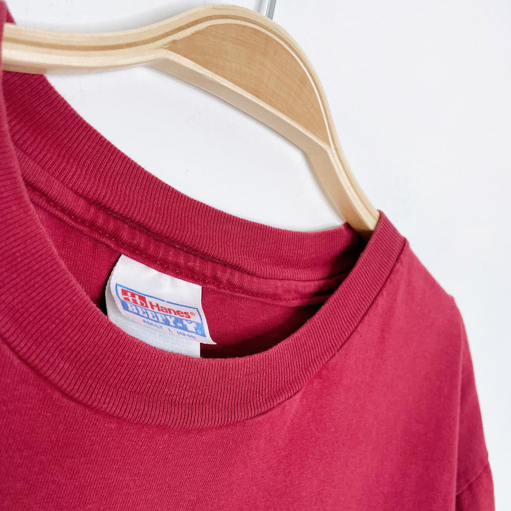 vintage 00s hanes beefy tee x earth activist crop tee