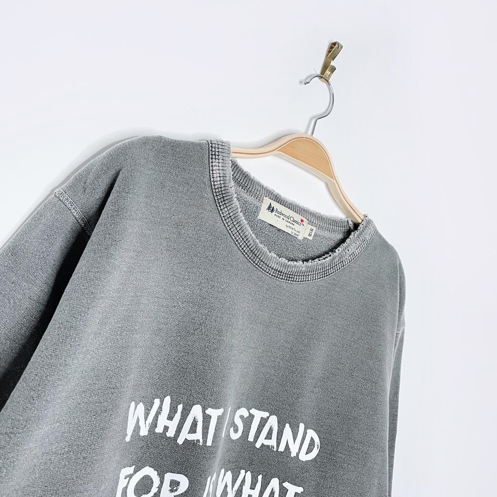 vintage 00s redwood x earth activist faded cottage crew