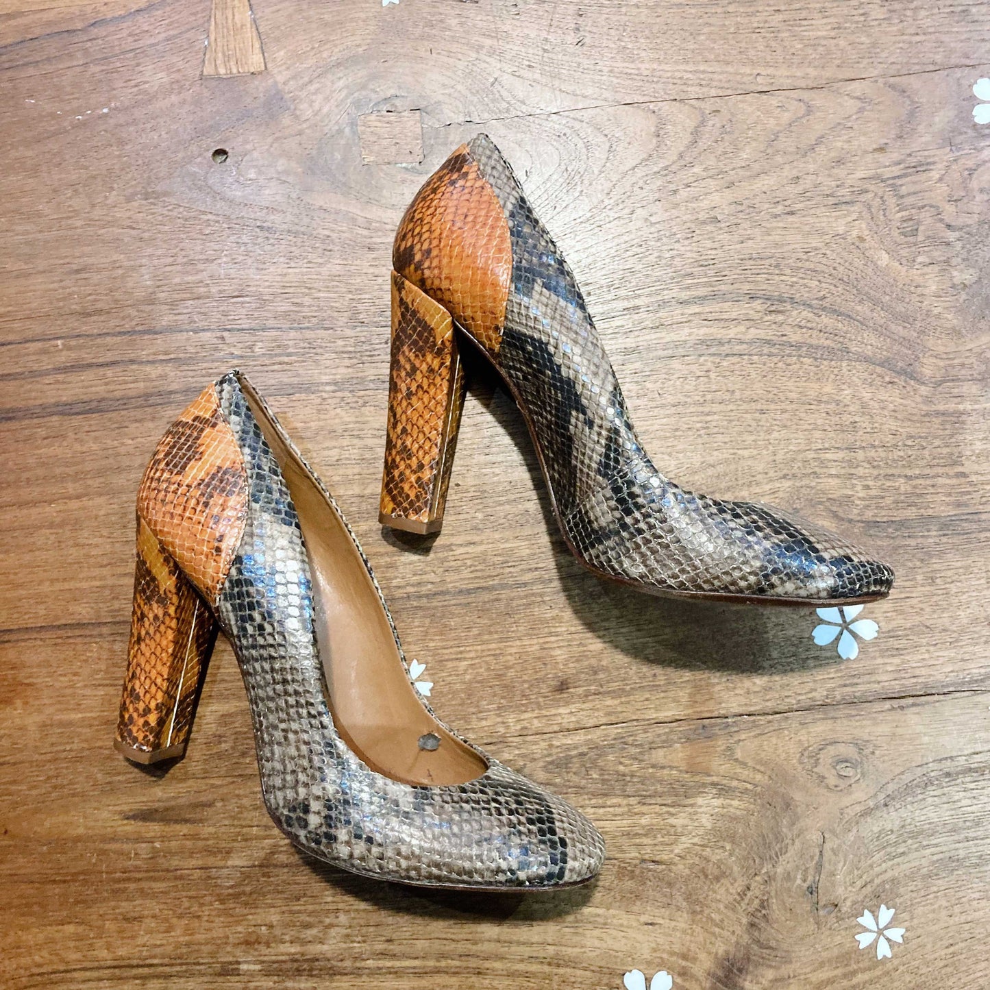 schutz snakeskin round toe pumps - size 8