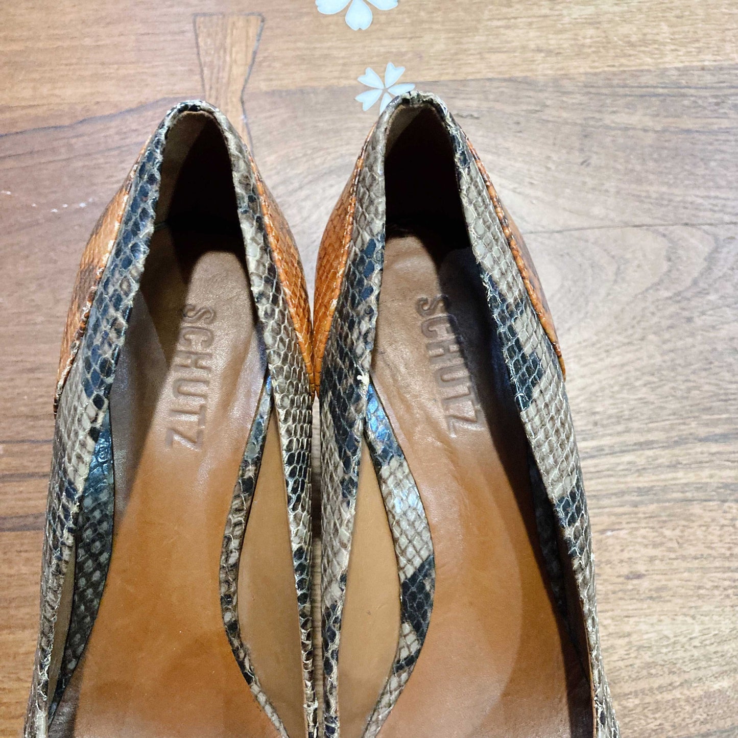 schutz snakeskin round toe pumps - size 8