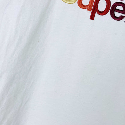 superdry flash rainbow tee