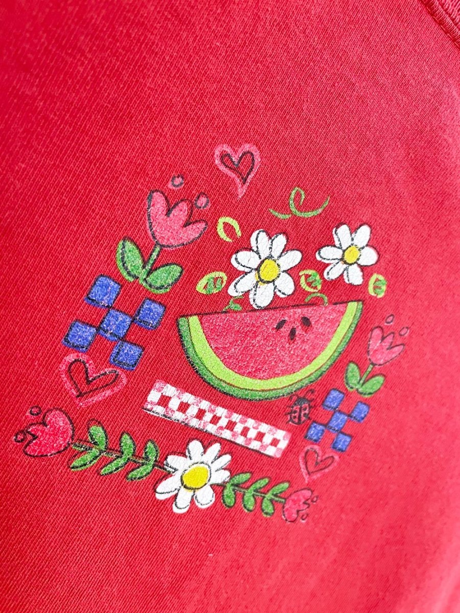 vintage 00s gopher sport watermelon graphic tee | made in USA - good market thrift store