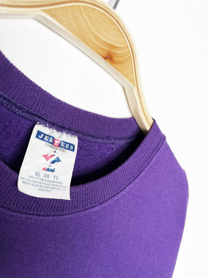 vintage 00s jerzees wisconsin winter cottage sweatshirt - good market thrift store