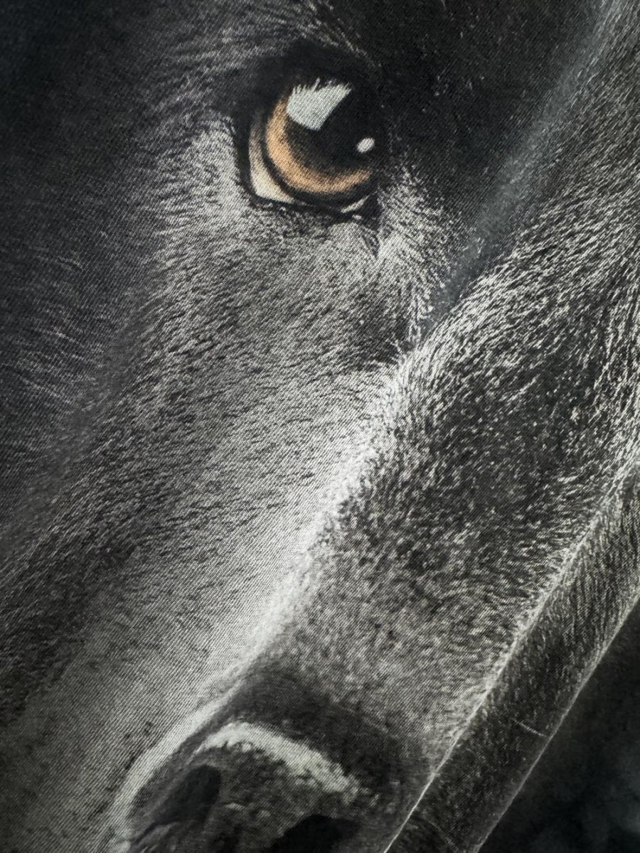 vintage 00s the mountain dog face tie dye tee | made in USA - good market thrift store