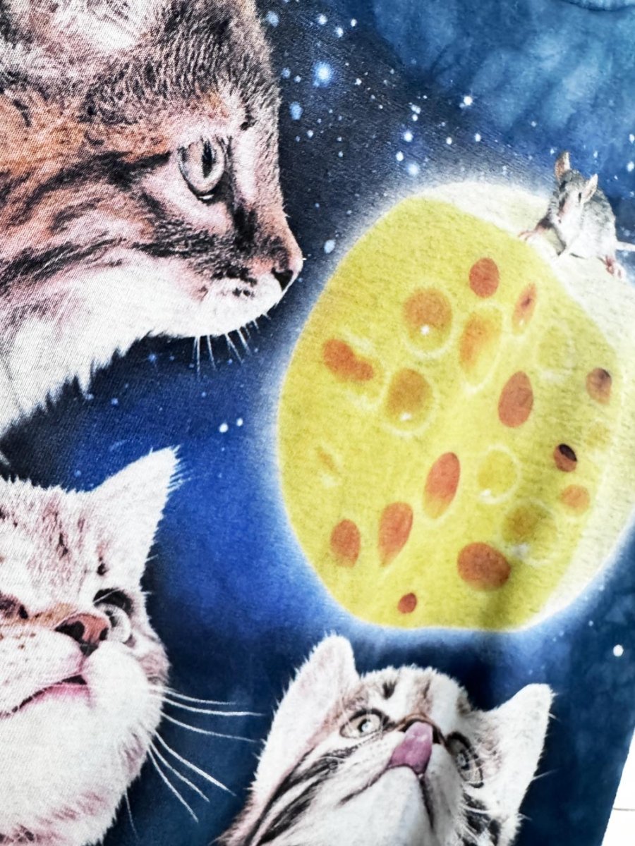 vintage 00s the mountain space kitty tie dye tee - good market thrift store