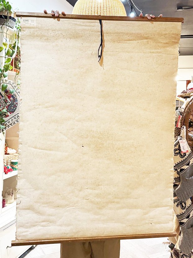 vintage 60s botanical fungi science class wall chart | printed in Gremany - good market thrift store