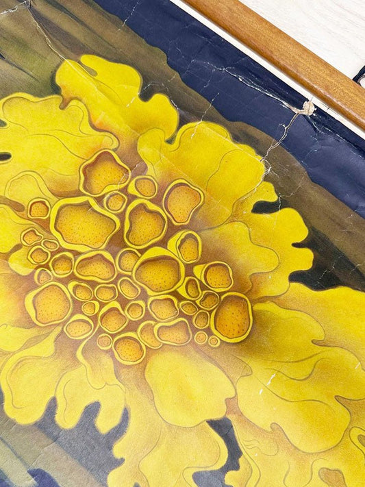 vintage 60s botanical fungi science class wall chart | printed in Gremany - good market thrift store