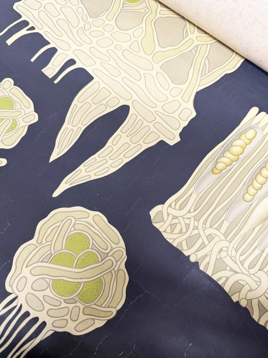 vintage 60s botanical fungi science class wall chart | printed in Gremany - good market thrift store