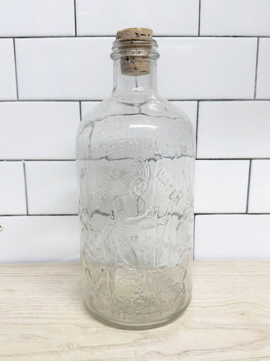 vintage 60s chemung new york spring water glass bottle - good market thrift store