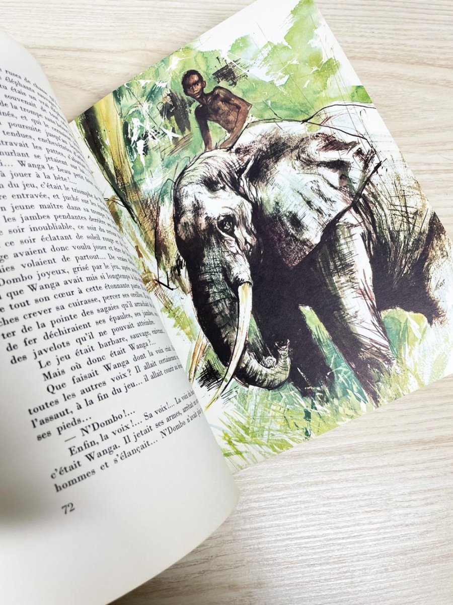 vintage 60s le grand livre de la brousse hardcover illustrated book - good market thrift store