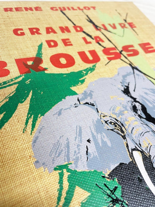 vintage 60s le grand livre de la brousse hardcover illustrated book - good market thrift store