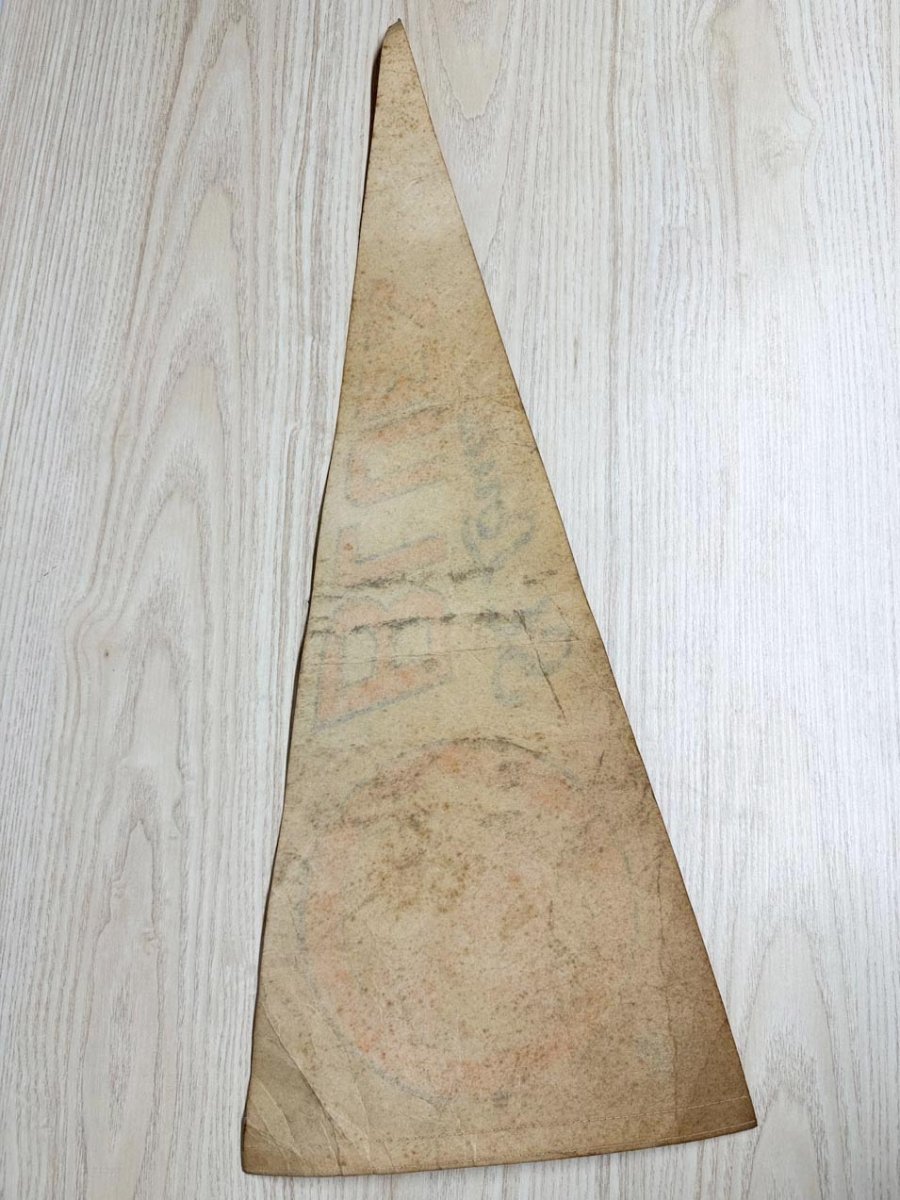 vintage 70s st louis blues paper pennant | national league hockey | NHL - good market thrift store