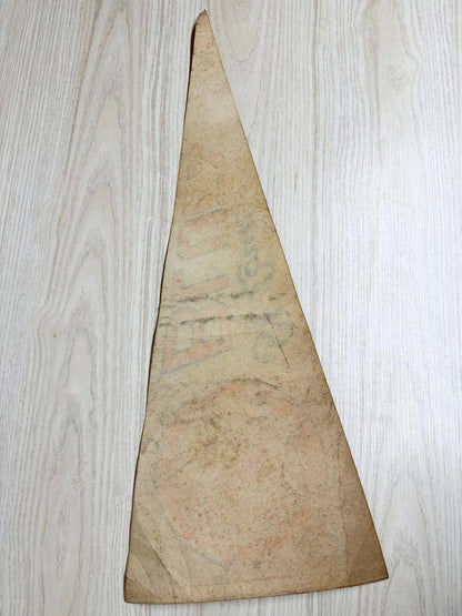 vintage 70s st louis blues paper pennant | national league hockey | NHL - good market thrift store