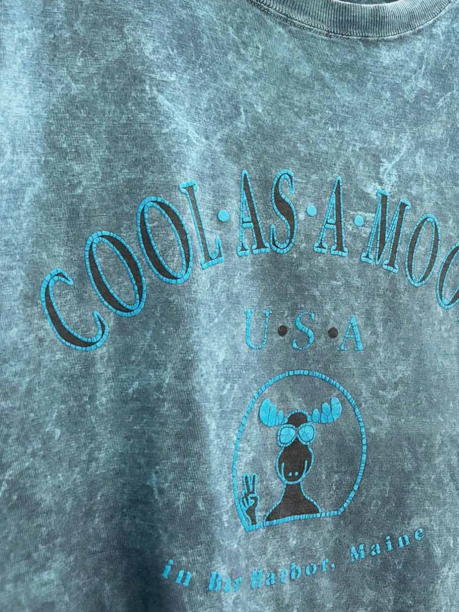 vintage 90s cool as a moose earth tie dye tee | yesterdays - good market thrift store