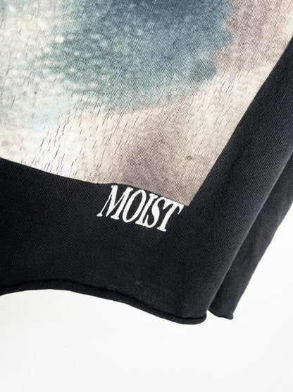 vintage 90s moist silver cropped tee | made in USA | wild oats - good market thrift store
