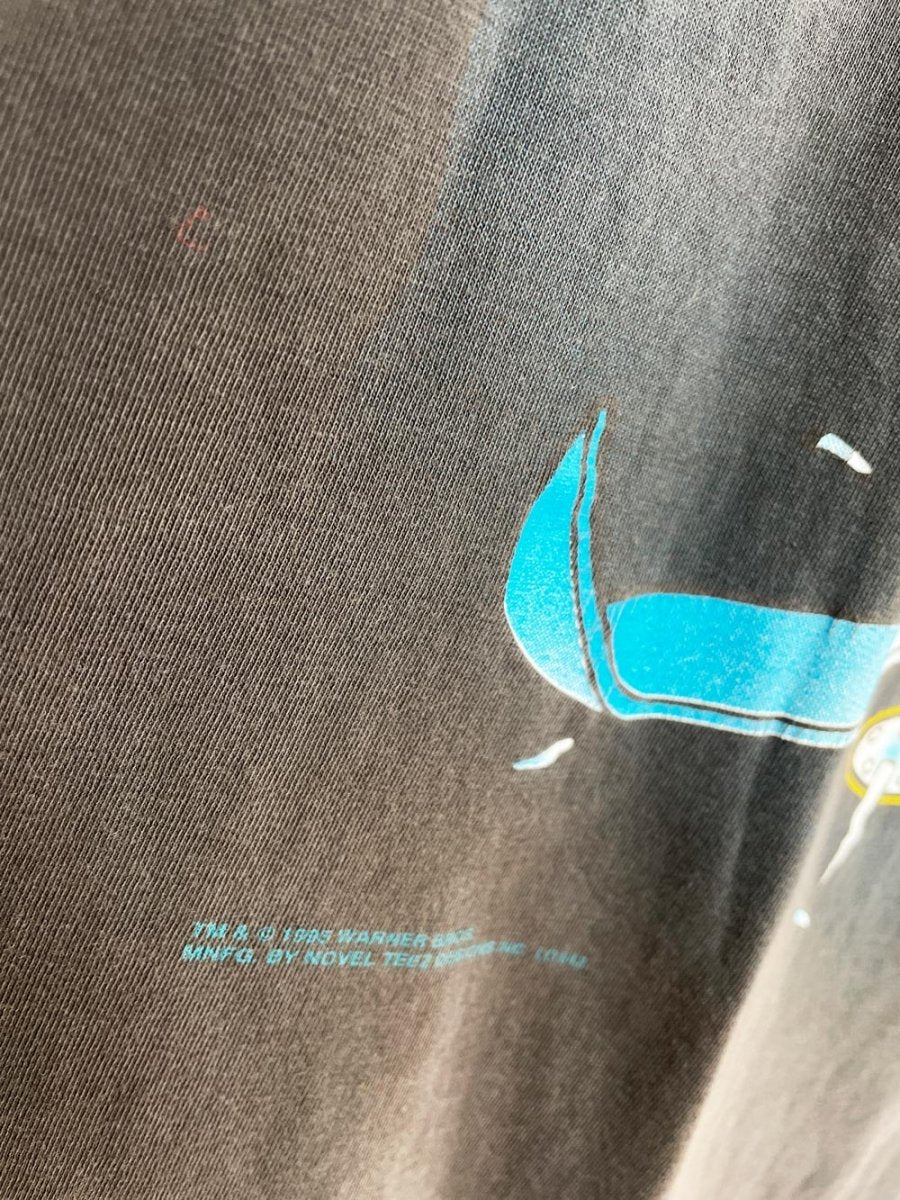 vintage 90s novel teez warner bros bugs + tweety ski oversized t-shirt dress | made in India - good market thrift store