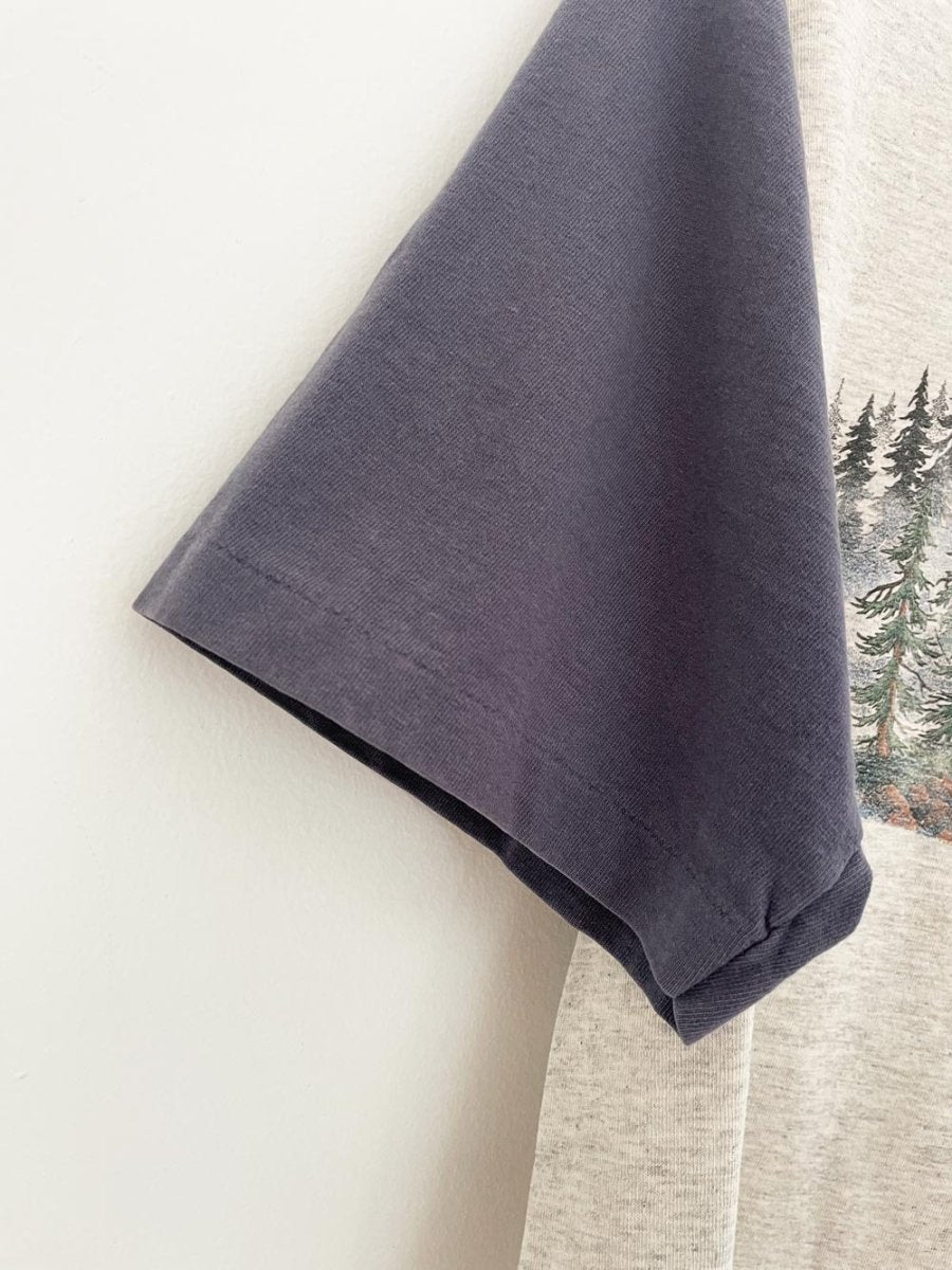vintage 90s prairie mountain single stitch canada nature scene crop tee | made in usa - good market thrift store