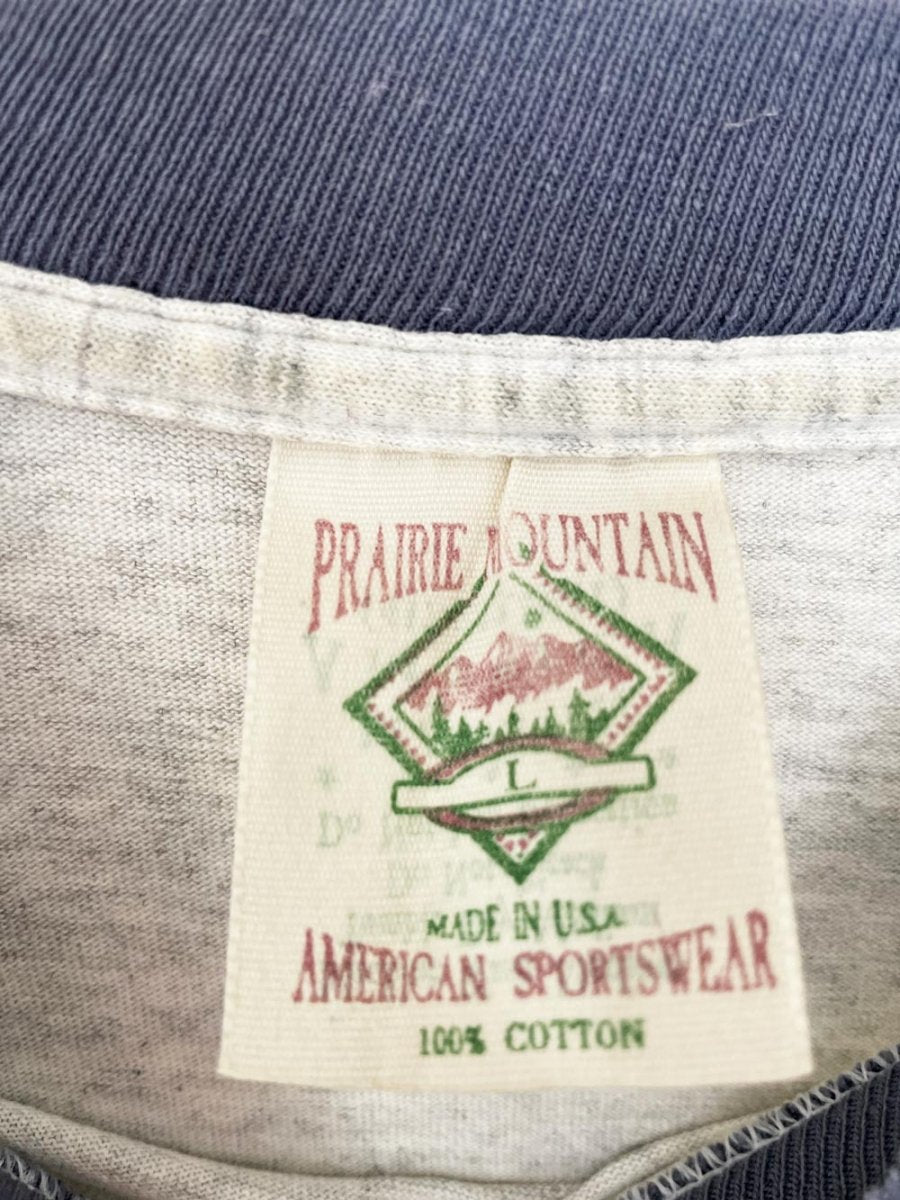 vintage 90s prairie mountain single stitch canada nature scene crop tee | made in usa - good market thrift store