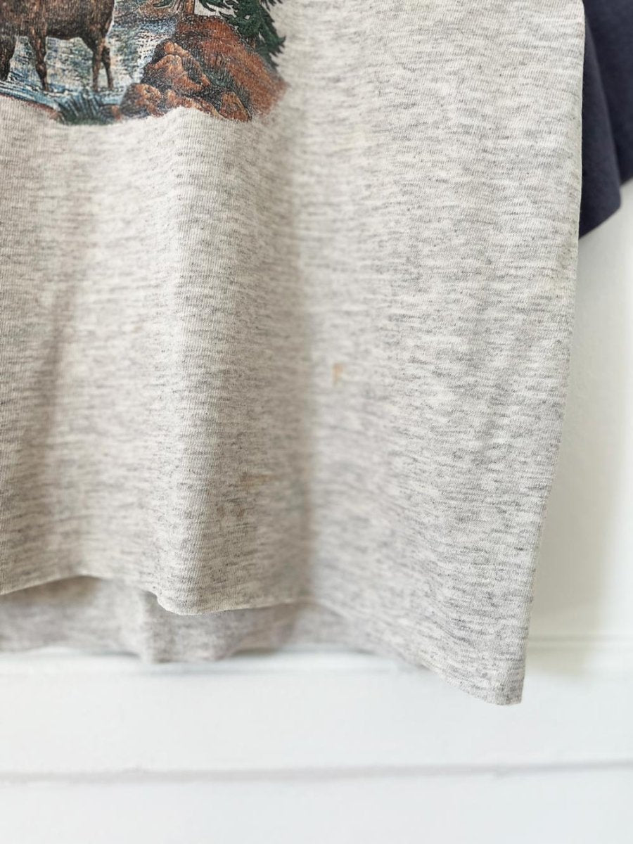 vintage 90s prairie mountain single stitch canada nature scene crop tee | made in usa - good market thrift store