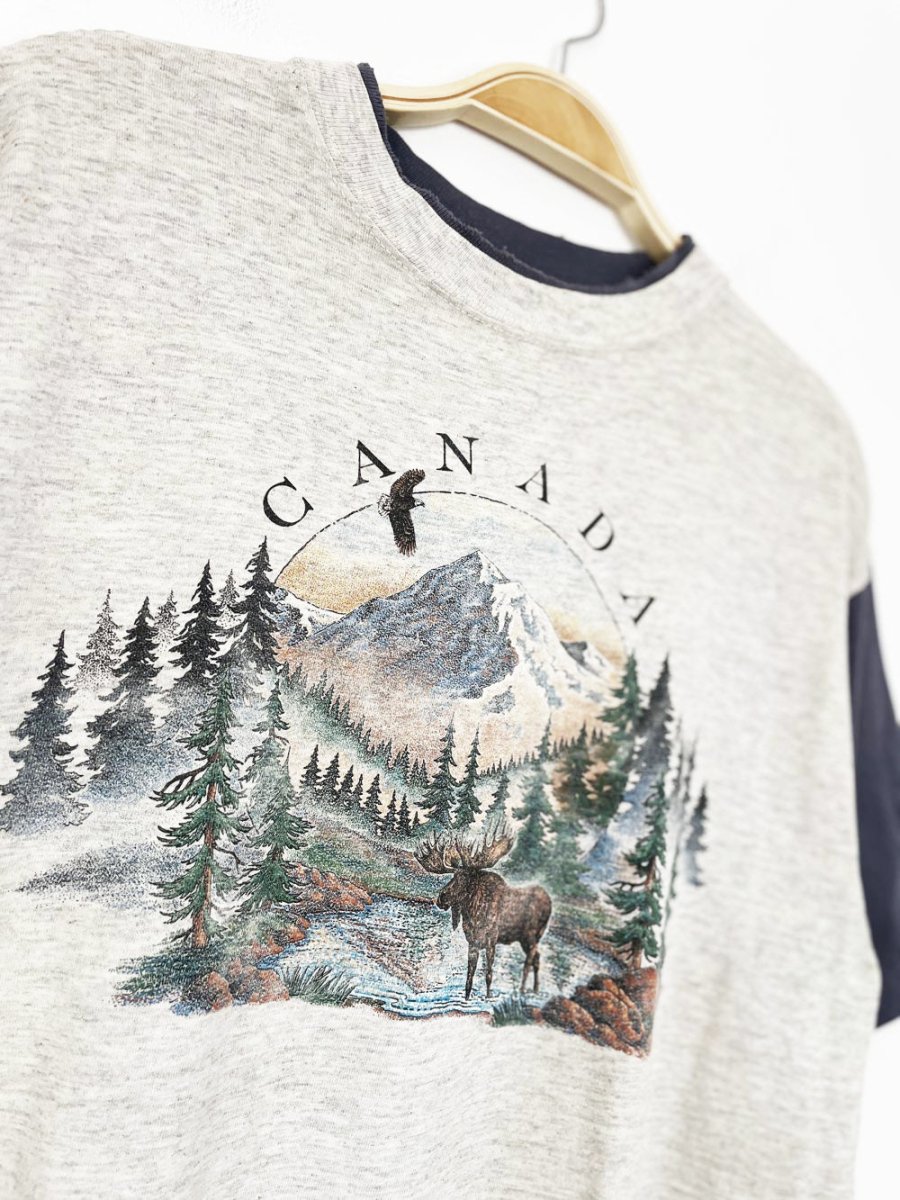 vintage 90s prairie mountain single stitch canada nature scene crop tee | made in usa - good market thrift store