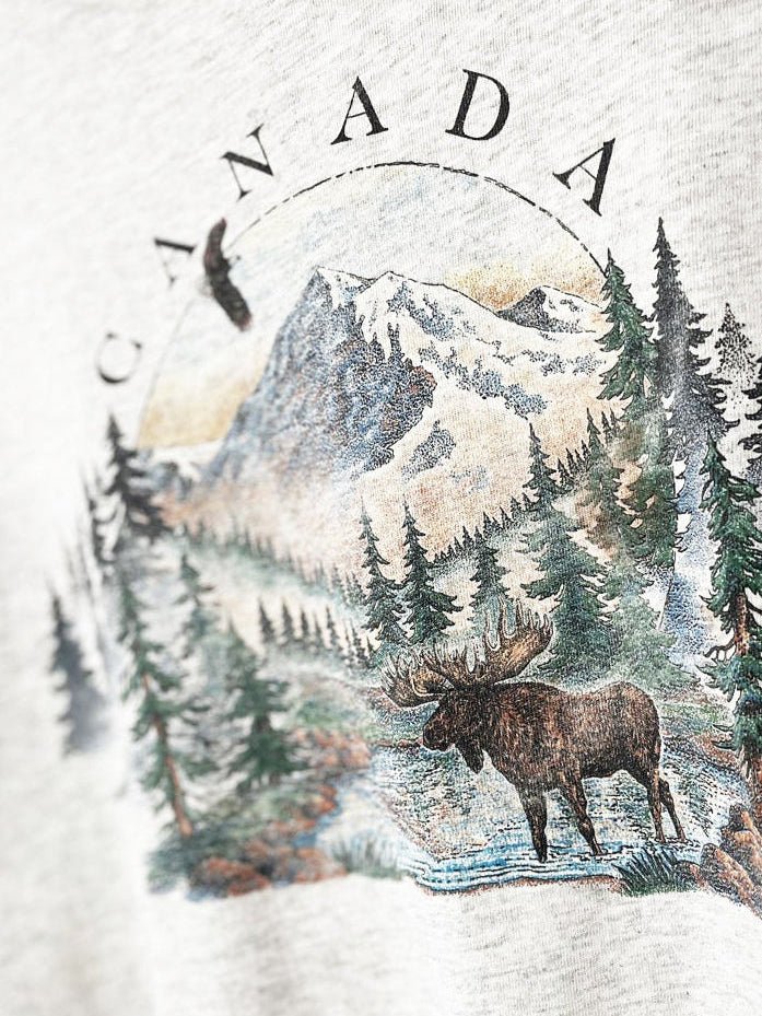 vintage 90s prairie mountain single stitch canada nature scene crop tee | made in usa - good market thrift store