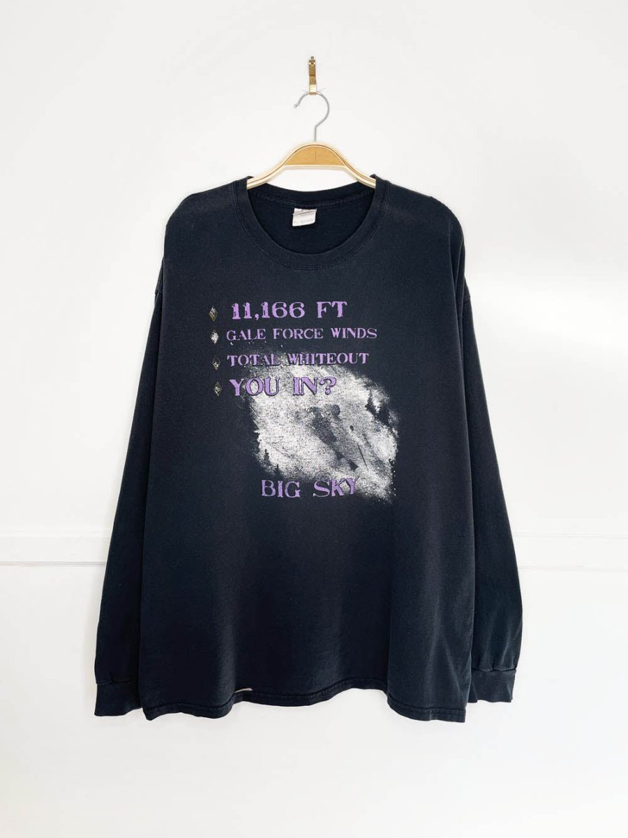 vintage big sky skier long sleeve graphic tee - good market thrift store