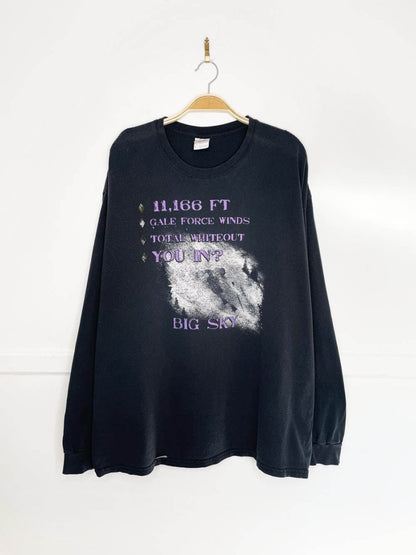 vintage big sky skier long sleeve graphic tee - good market thrift store