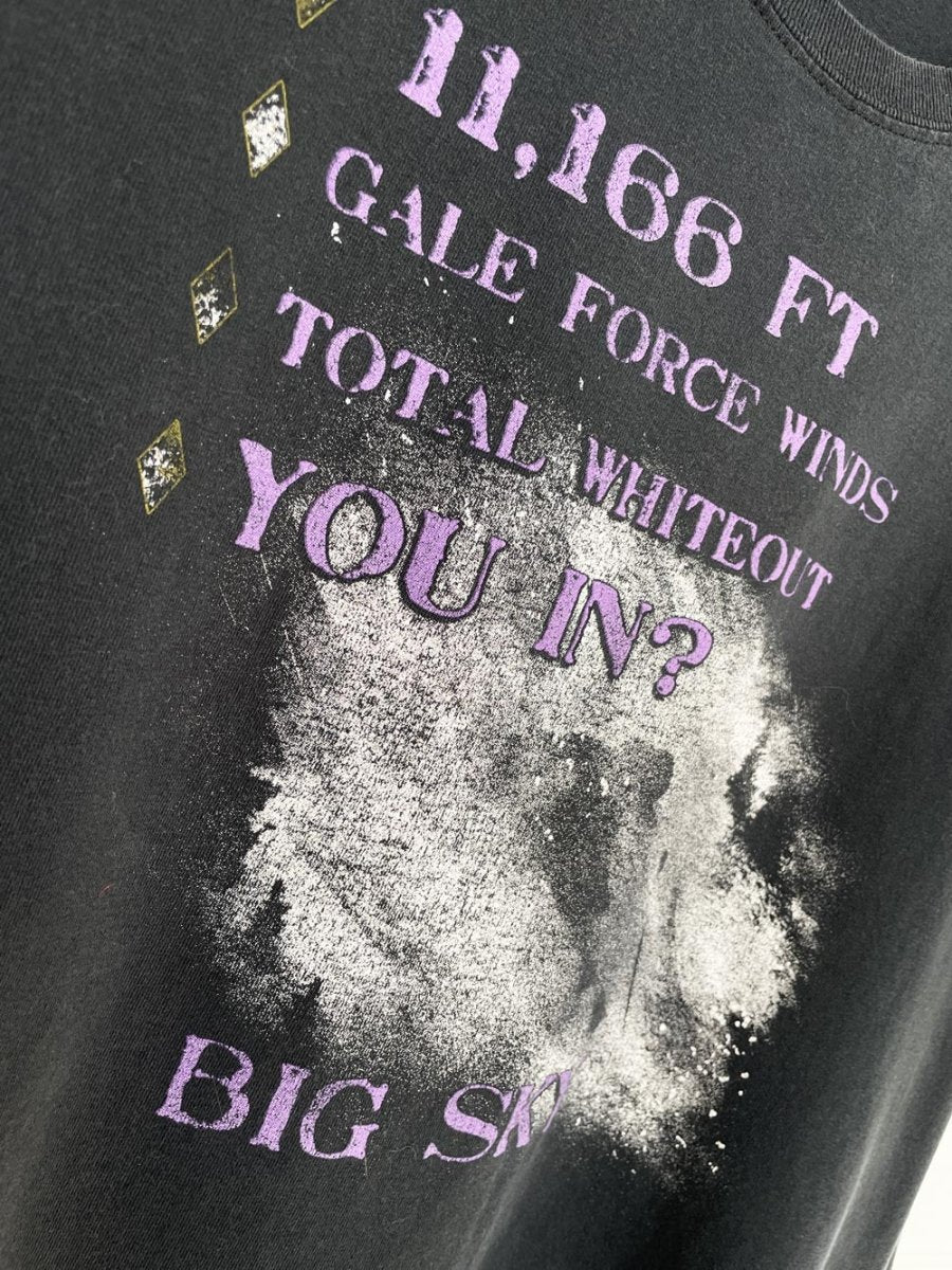 vintage big sky skier long sleeve graphic tee - good market thrift store