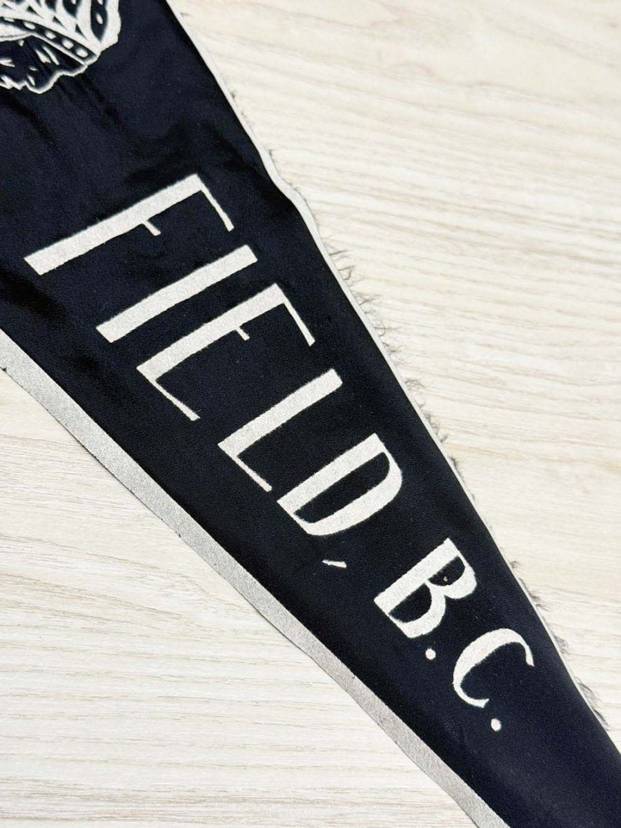 vintage canada field BC fabric pennant - good market thrift store