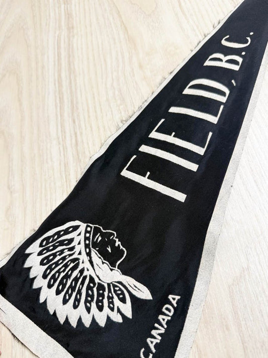 vintage canada field BC fabric pennant - good market thrift store