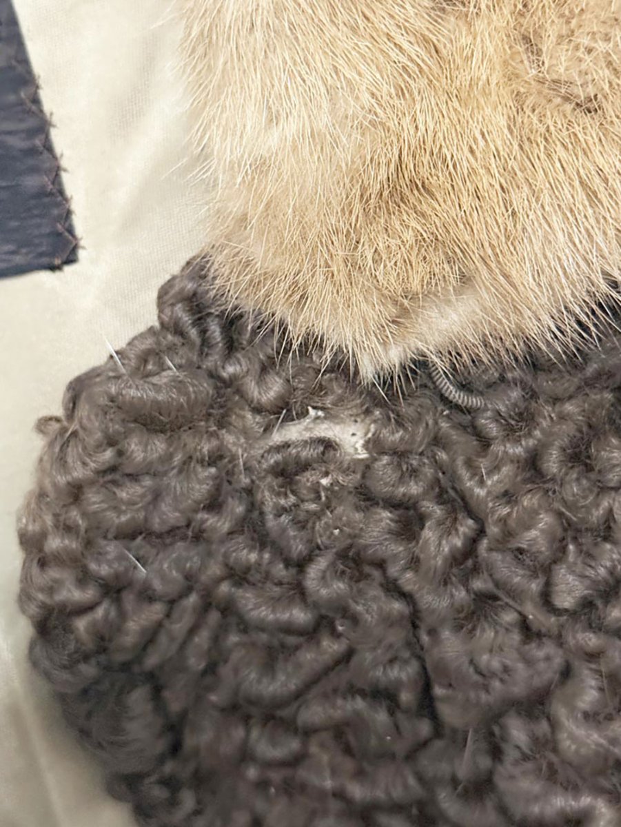 vintage carl kaufman mink - trim persian lamb coat | made in Canada - good market thrift store