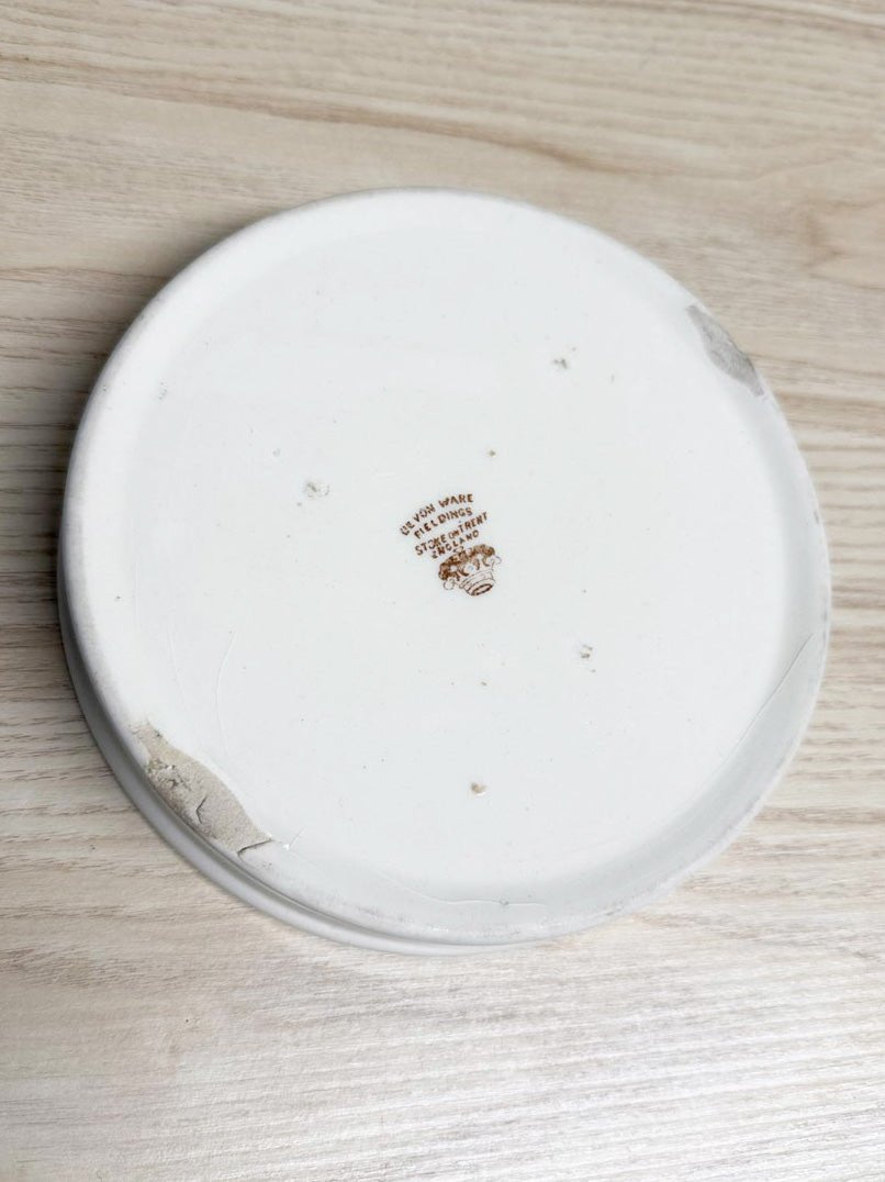 vintage devonware fieldings baby's plate bowl | made in England - good market thrift store