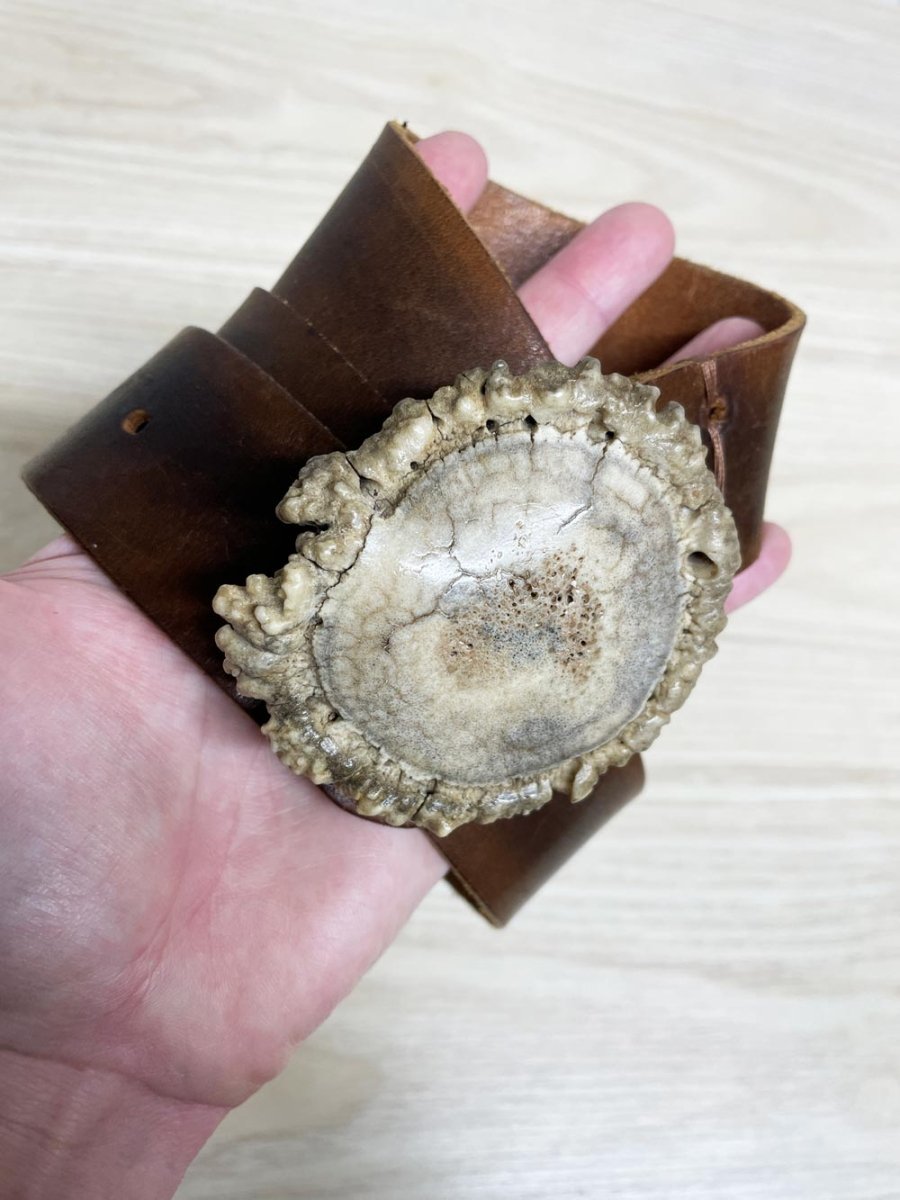 vintage elk antler rosette burr leather belt | made in USA - good market thrift store